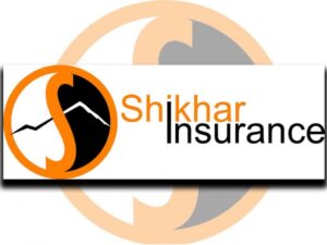 Shikhar insurance 696x522 1